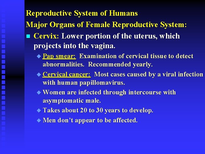 Reproductive System of Humans Major Organs of Female Reproductive System: n Cervix: Lower portion