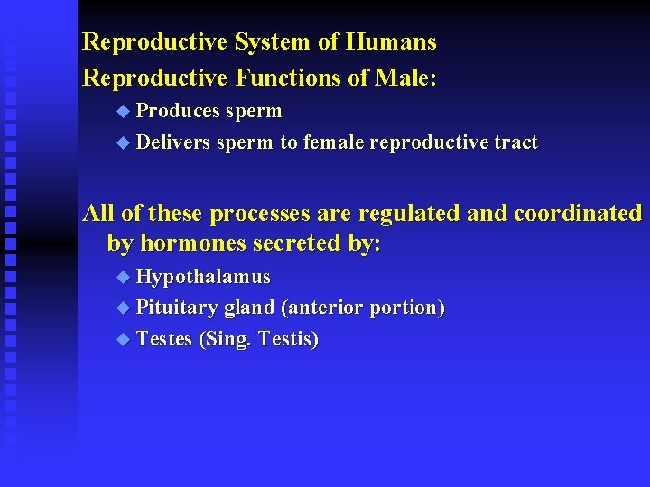 Reproductive System of Humans Reproductive Functions of Male: u Produces sperm u Delivers sperm