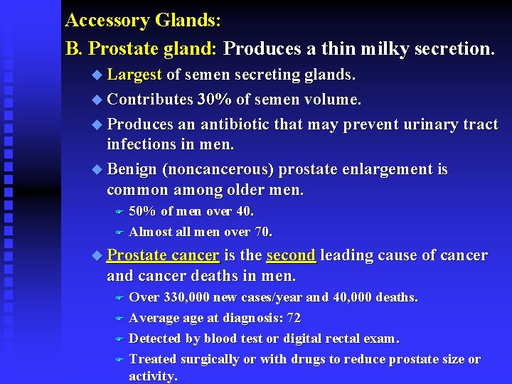 Accessory Glands: B. Prostate gland: Produces a thin milky secretion. u Largest of semen