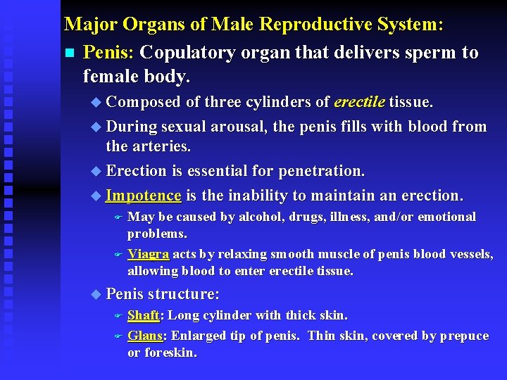Major Organs of Male Reproductive System: n Penis: Copulatory organ that delivers sperm to
