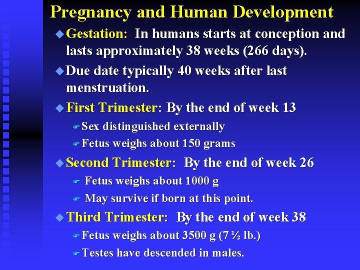 Pregnancy and Human Development u Gestation: In humans starts at conception and lasts approximately