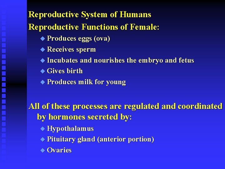 Reproductive System of Humans Reproductive Functions of Female: u Produces eggs (ova) u Receives