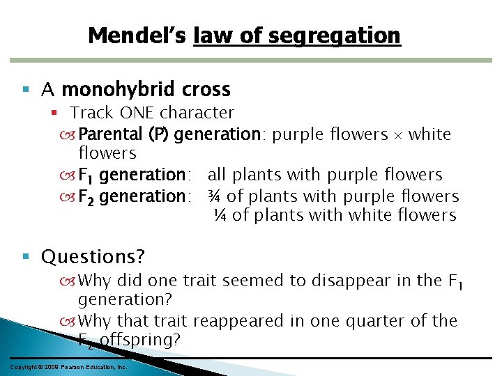 Mendel’s law of segregation A monohybrid cross Track ONE character Parental (P) generation: purple