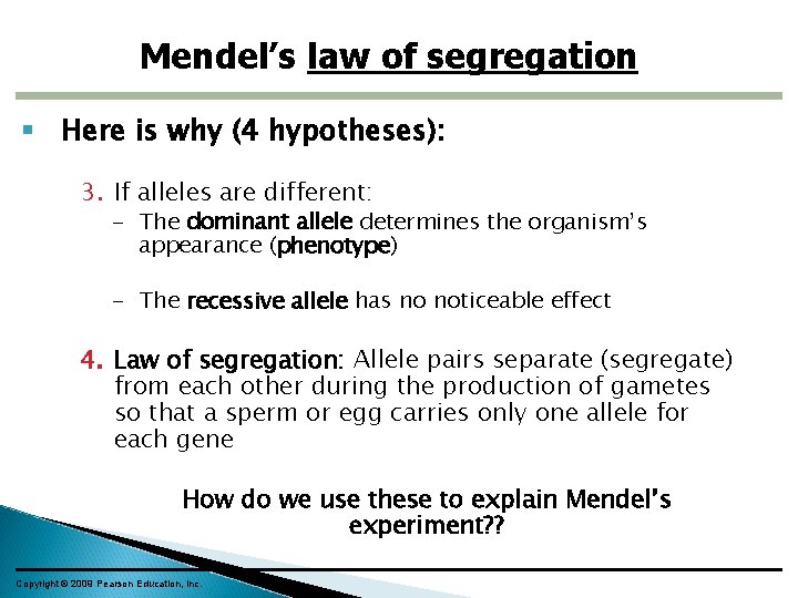 Mendel’s law of segregation Here is why (4 hypotheses): 3. If alleles are different: