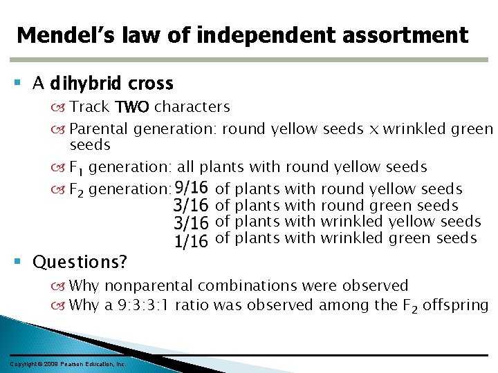 Mendel’s law of independent assortment A dihybrid cross Track TWO characters Parental generation: round