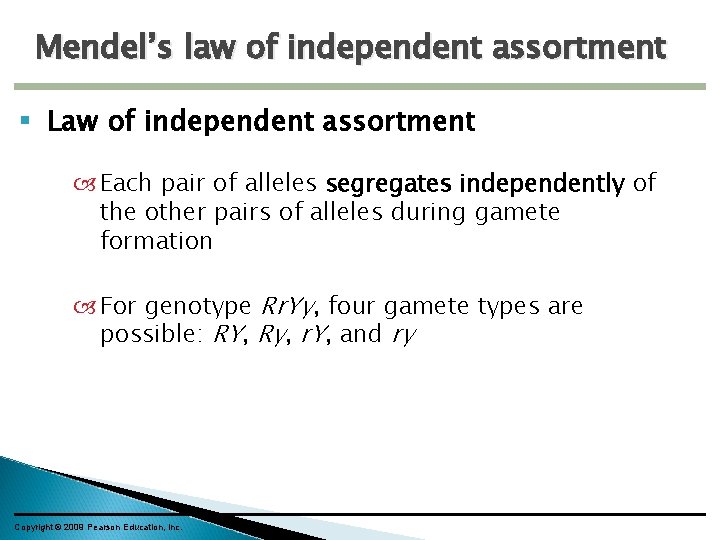 Mendel’s law of independent assortment Law of independent assortment Each pair of alleles segregates