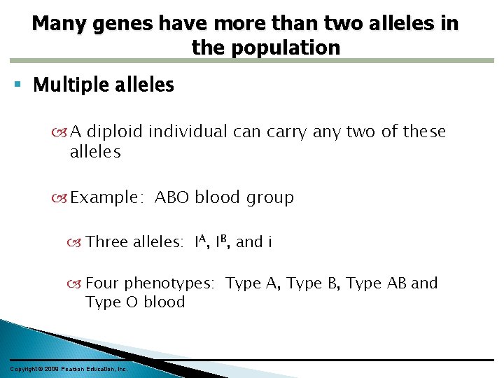Many genes have more than two alleles in the population Multiple alleles A diploid