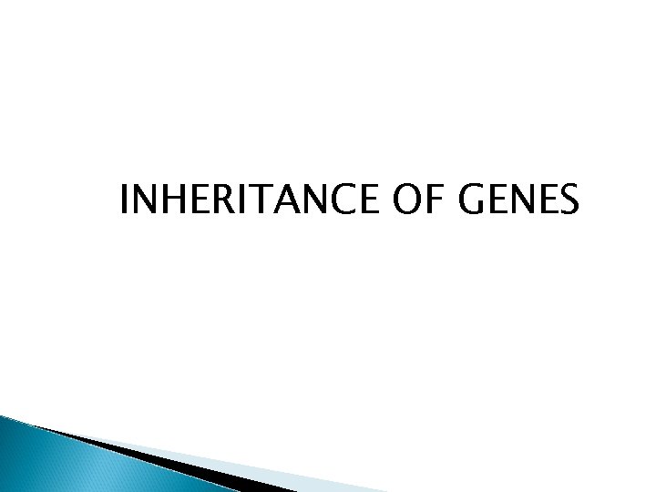 INHERITANCE OF GENES 