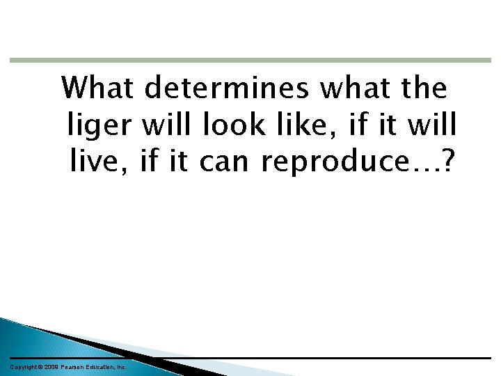 What determines what the liger will look like, if it will live, if it