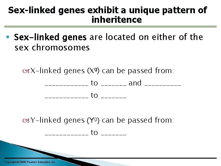 Sex-linked genes exhibit a unique pattern of inheritence Sex-linked genes are located on either