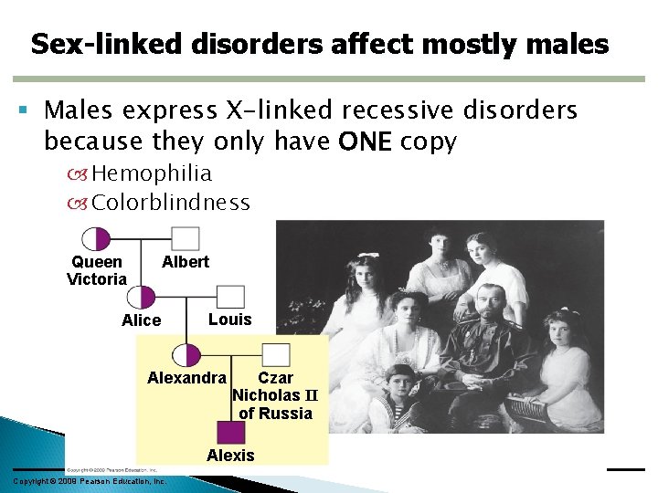 Sex-linked disorders affect mostly males Males express X-linked recessive disorders because they only have