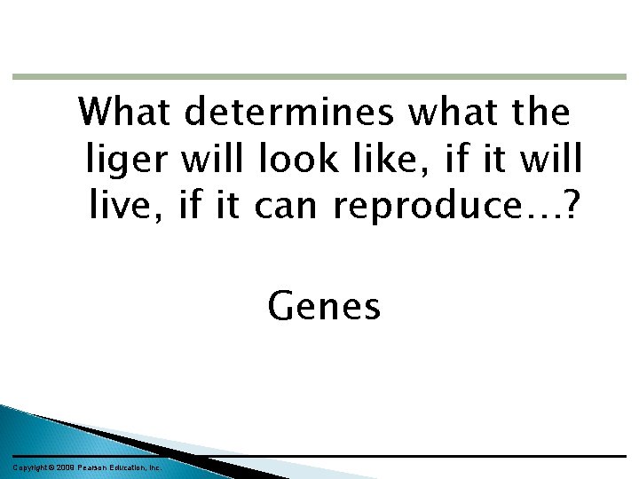 What determines what the liger will look like, if it will live, if it