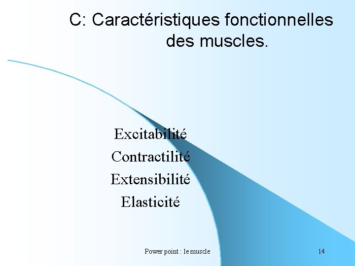 MUSCLES ET MOUVEMENT Power Point Le Muscle 1