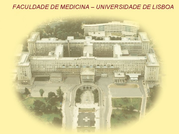 FACULDADE DE MEDICINA – UNIVERSIDADE DE LISBOA 