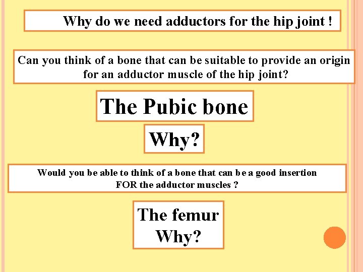 Why do we need adductors for the hip joint ! Can you think of