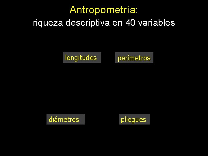 Antropometría: riqueza descriptiva en 40 variables longitudes diámetros perímetros pliegues 