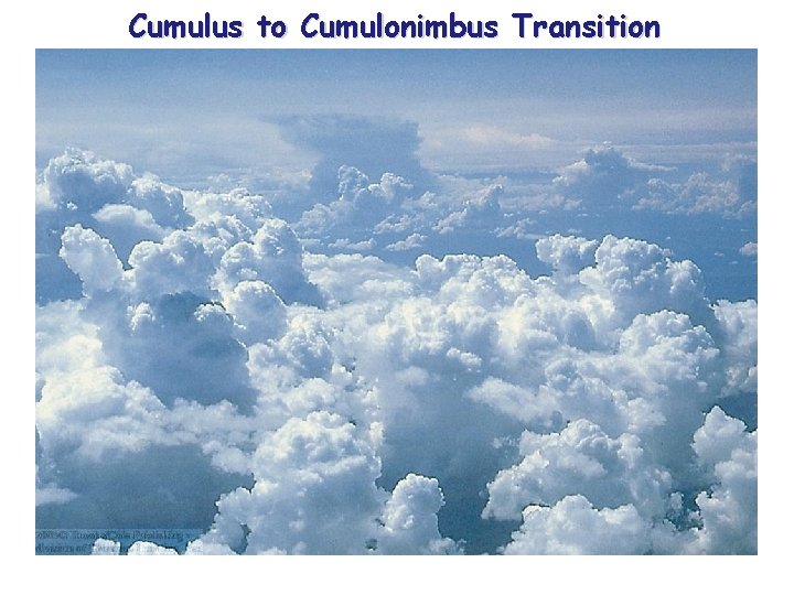 Cumulus to Cumulonimbus Transition 