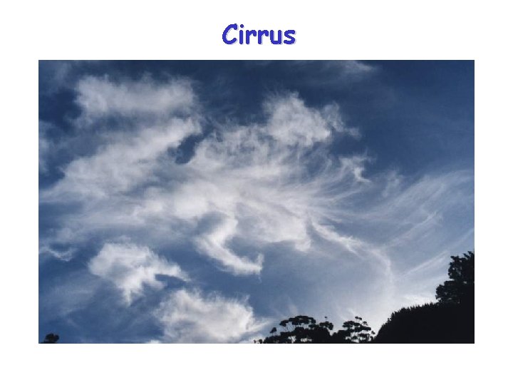 Cirrus 