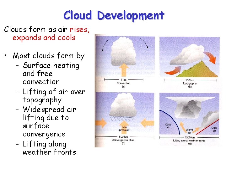 Cloud Development Clouds form as air rises, expands and cools • Most clouds form