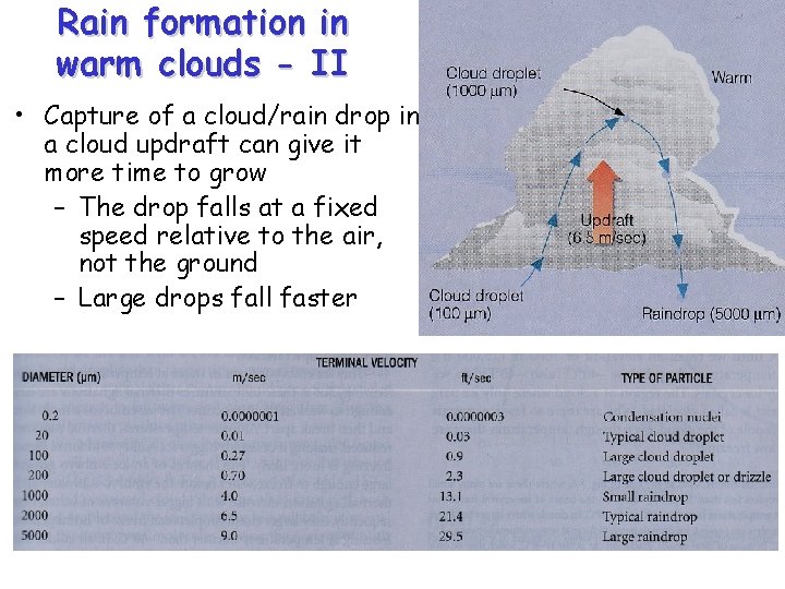 Rain formation in warm clouds - II • Capture of a cloud/rain drop in