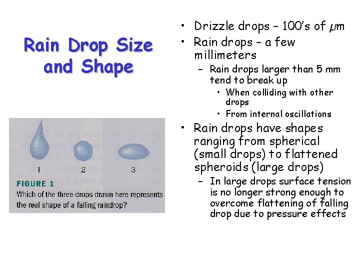 Rain Drop Size and Shape • Drizzle drops – 100’s of µm • Rain