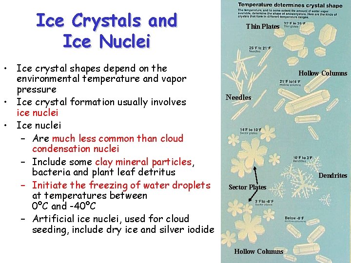 Ice Crystals and Ice Nuclei • Ice crystal shapes depend on the environmental temperature