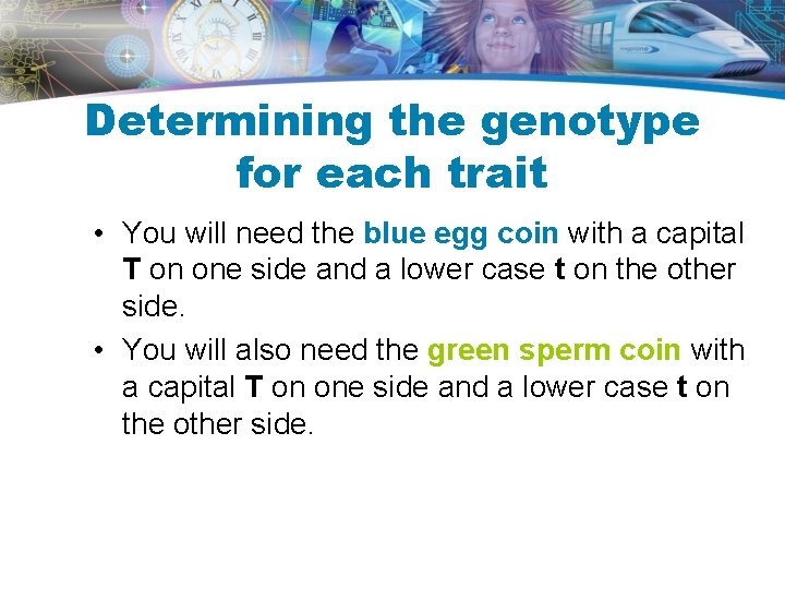 Determining the genotype for each trait • You will need the blue egg coin Determining the genotype for each trait • You will need the blue egg coin