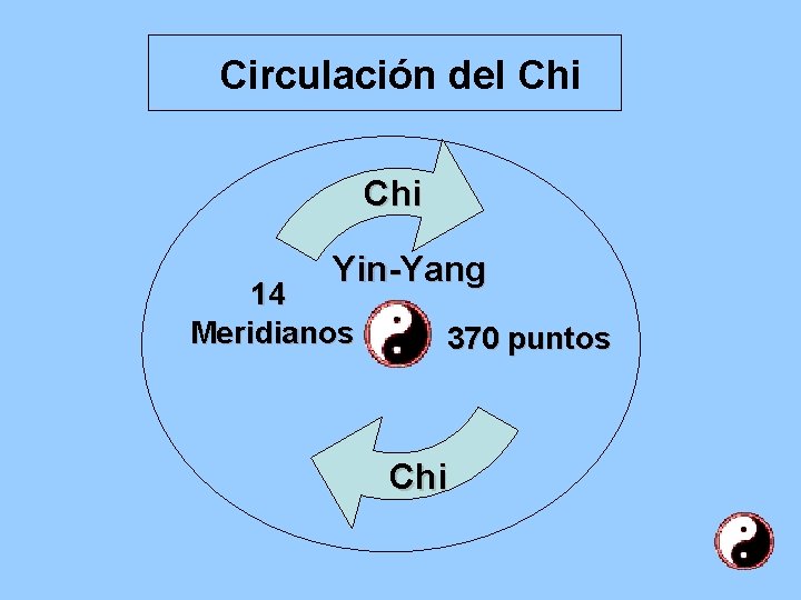 Circulación del Chi Yin-Yang 14 Meridianos 370 puntos Chi 