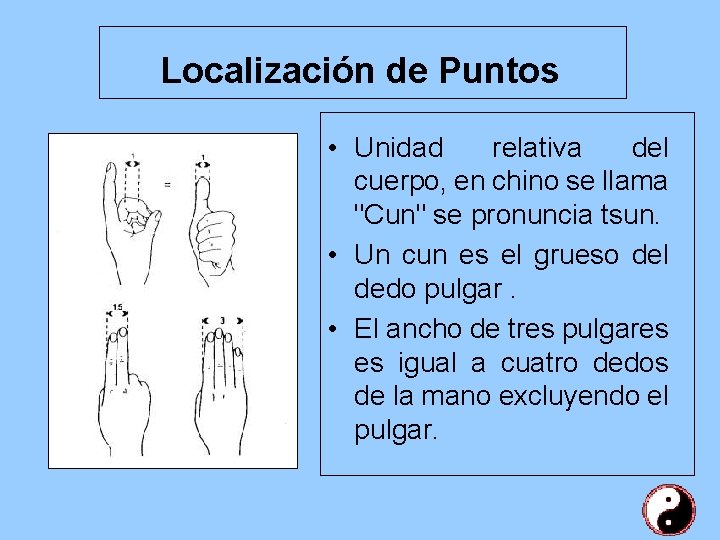 Localización de Puntos • Unidad relativa del cuerpo, en chino se llama "Cun" se