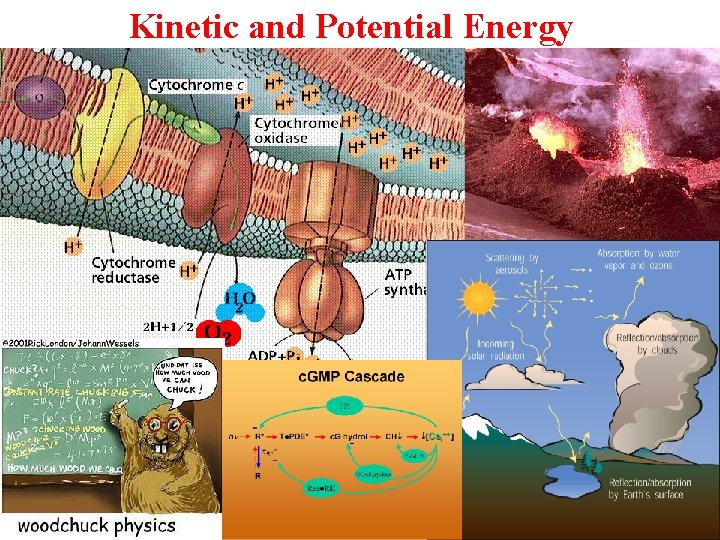 Kinetic and Potential Energy 