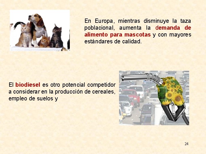 En Europa, mientras disminuye la taza poblacional, aumenta la demanda de alimento para mascotas