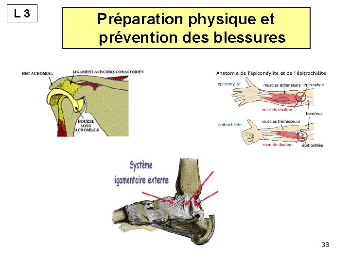 L 3 Préparation physique et prévention des blessures 38 