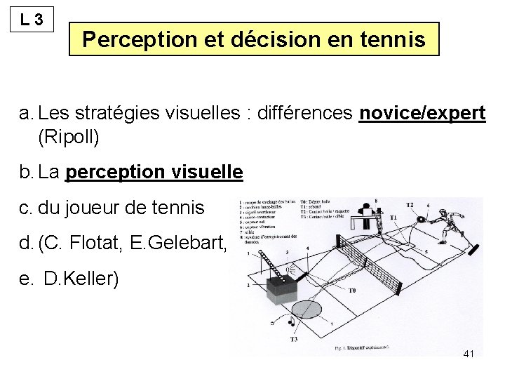 L 3 Perception et décision en tennis a. Les stratégies visuelles : différences novice/expert