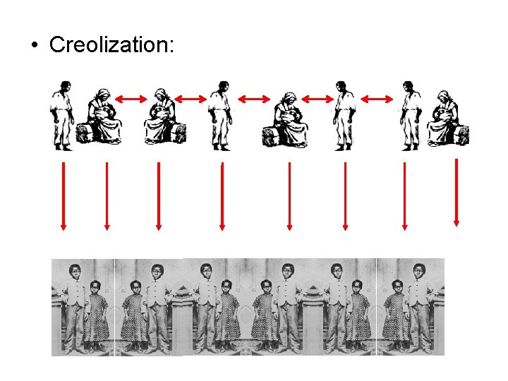  • Creolization: 