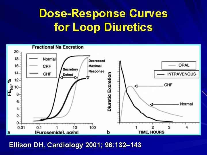 Dose-Response Curves for Loop Diuretics Ellison DH. Cardiology 2001; 96: 132– 143 Dose-Response Curves for Loop Diuretics Ellison DH. Cardiology 2001; 96: 132– 143