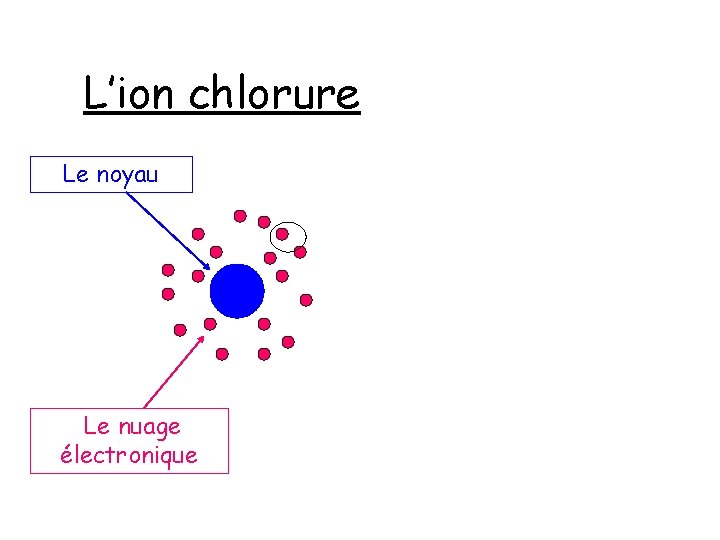 L’ion chlorure Le noyau Le nuage électronique 