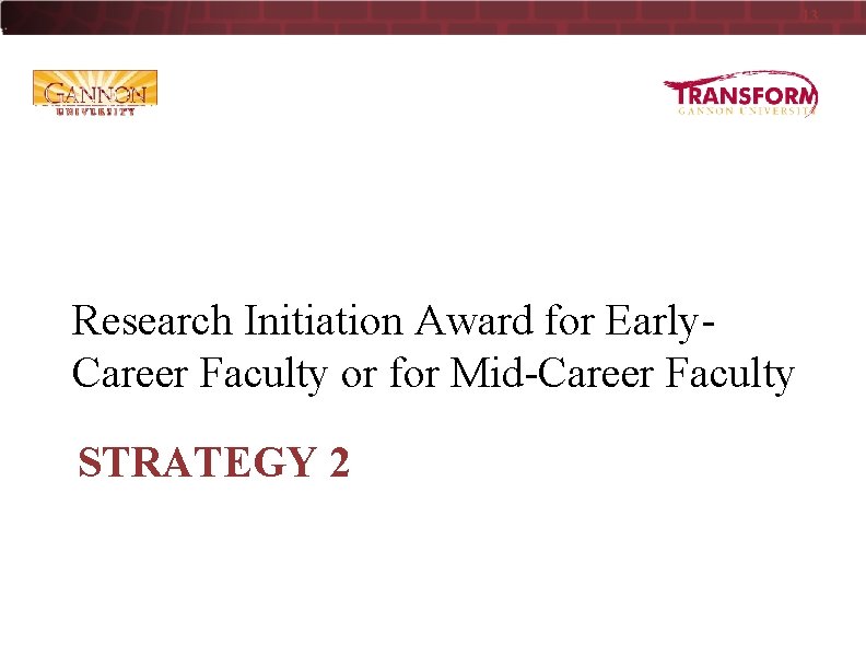 13 Research Initiation Award for Early. Career Faculty or for Mid-Career Faculty STRATEGY 2