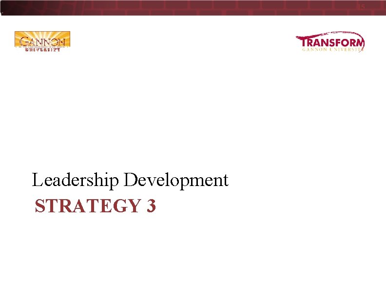 15 Leadership Development STRATEGY 3 