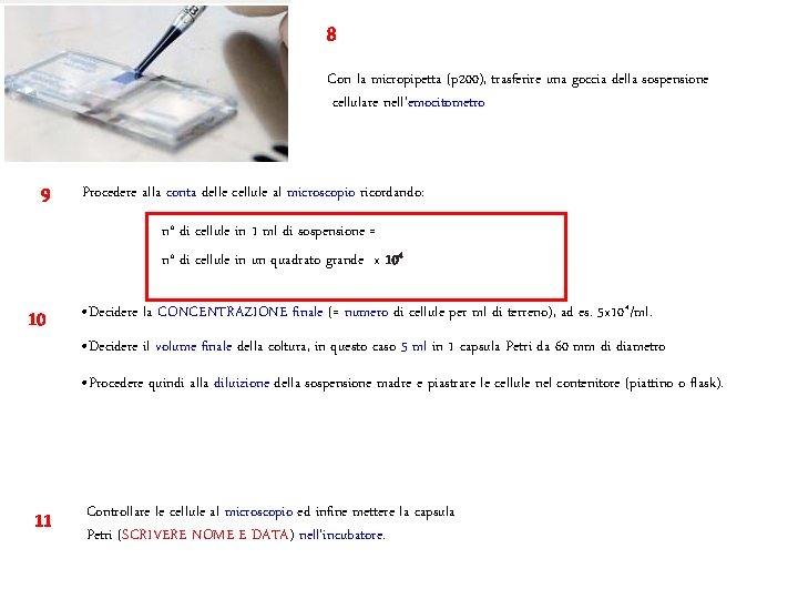 8 Con la micropipetta (p 200), trasferire una goccia della sospensione cellulare nell’emocitometro 9