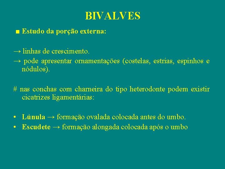 BIVALVES ■ Estudo da porção externa: → linhas de crescimento. → pode apresentar ornamentações