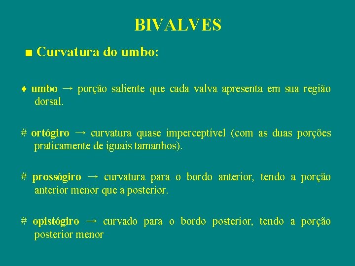 BIVALVES ■ Curvatura do umbo: ♦ umbo → porção saliente que cada valva apresenta