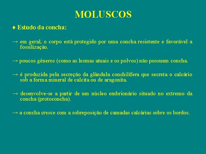 MOLUSCOS ♦ Estudo da concha: → em geral, o corpo está protegido por uma