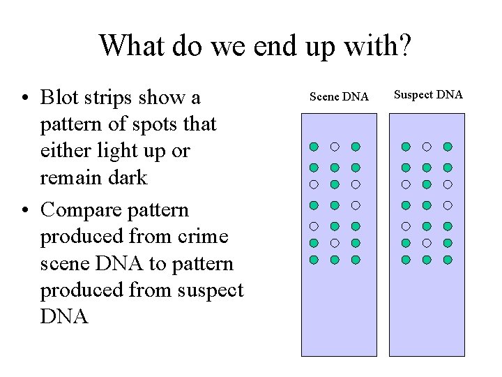 What do we end up with? • Blot strips show a pattern of spots