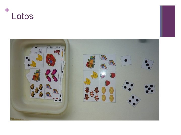 + Lotos 