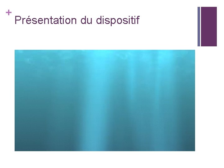 + Présentation du dispositif 