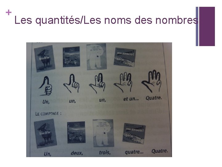 + Les quantités/Les noms des nombres 