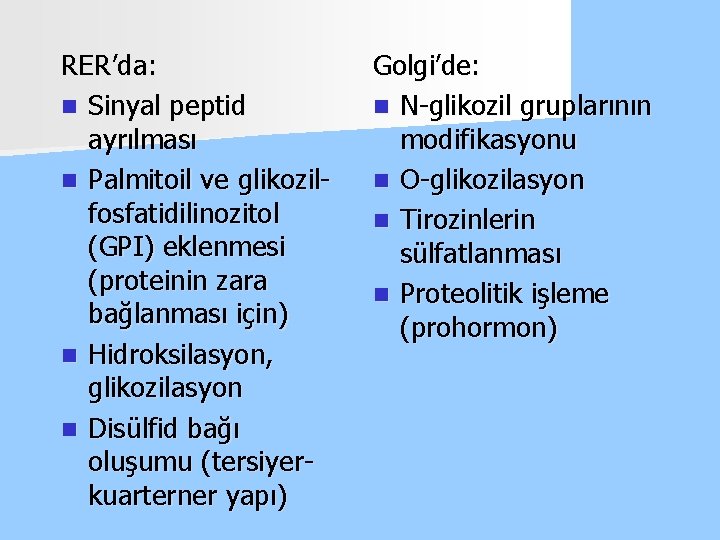 RER’da: n Sinyal peptid ayrılması n Palmitoil ve glikozilfosfatidilinozitol (GPI) eklenmesi (proteinin zara bağlanması