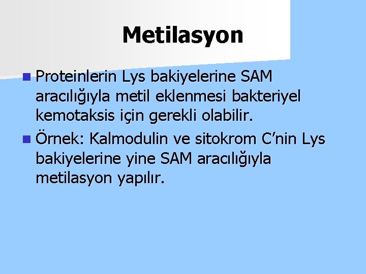 Metilasyon n Proteinlerin Lys bakiyelerine SAM aracılığıyla metil eklenmesi bakteriyel kemotaksis için gerekli olabilir.