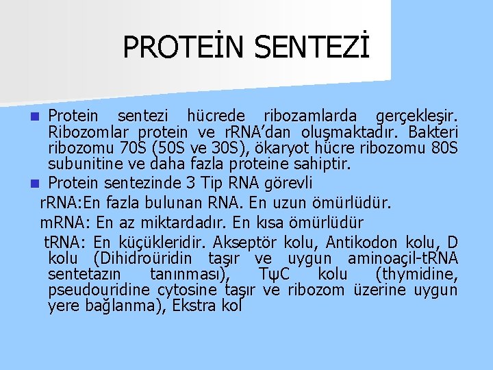 PROTEİN SENTEZİ Protein sentezi hücrede ribozamlarda gerçekleşir. Ribozomlar protein ve r. RNA’dan oluşmaktadır. Bakteri