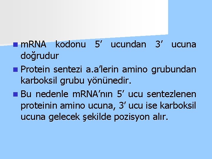 n m. RNA kodonu 5’ ucundan 3’ ucuna doğrudur n Protein sentezi a. a’lerin